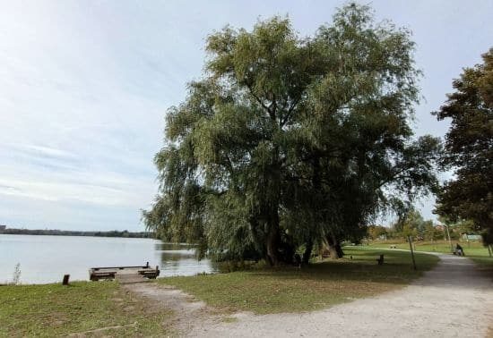 Parc à Valenciennes